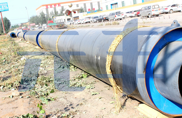 91视频网站入口视频